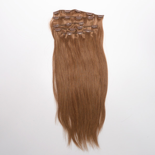 hair extensions clips LP6